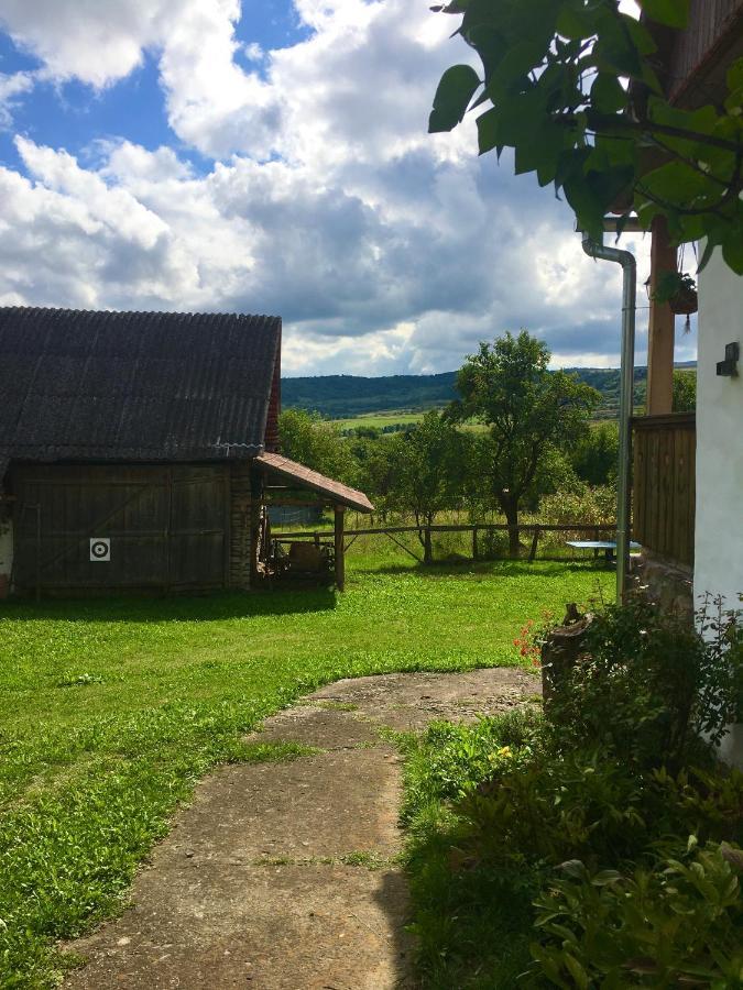 Miklos Lak Ocna de Sus Eksteriør bilde